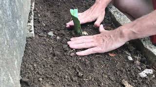 IMG 7877 IMG 7877