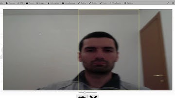 collective.takeaportrait: face detection and webcam Plone demo