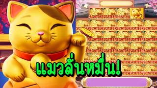 กูว่าแล้วมันต้องโดน เฮียริช สวิตเซอร์แลนด์ ➤ แมวลั่นหมื่น !!