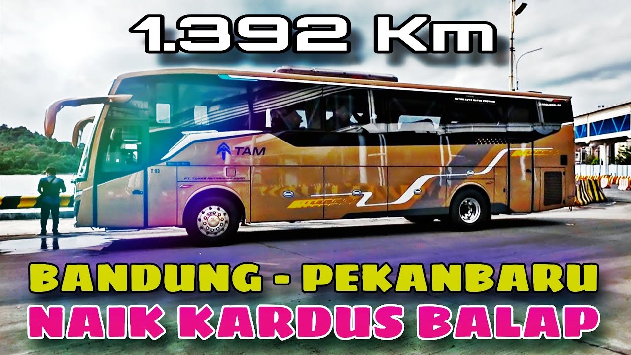 LINTAS JAWA - SUMATERA || NAIK BUS TAM BANDUNG KE PEKANBARU