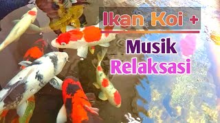 Menikmati Ikan koi dan musik relaksasi di saat santai