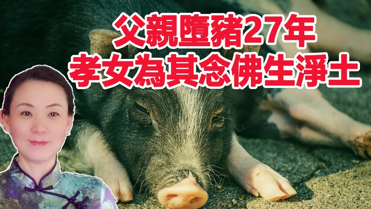 父親墮豬27年，孝女為其念佛生淨土，看哭很多人！揭秘如何知道父母的去处？