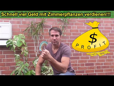 Video: Viel Glückspflanzen: Erfahren Sie mehr über einige Glückspflanzen, die Sie anbauen können