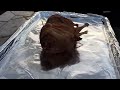 Middle of video