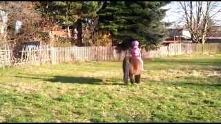 Kleine Reiterin Ganz Groß