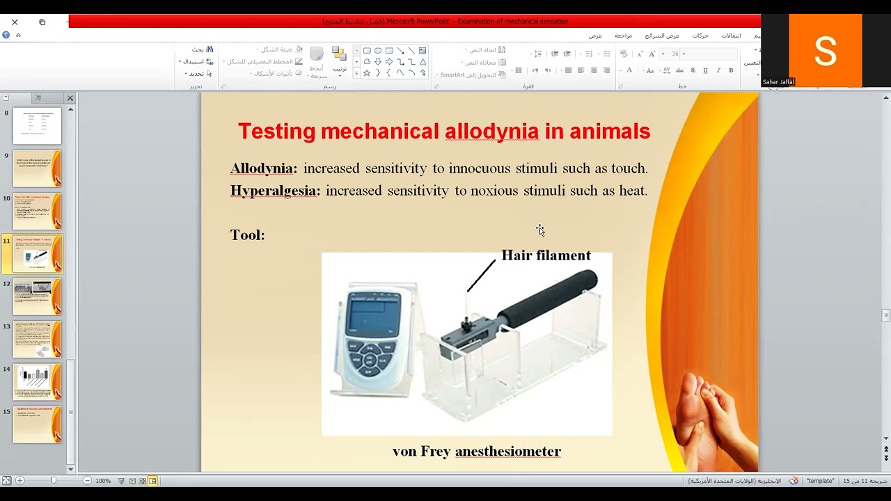 Recording for examination of mechanical sensation