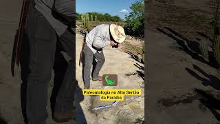 Paleontologia no Alto Sertão da Paraíba. Fotogrametria de pegadas de dinossauros. #photogrammetry