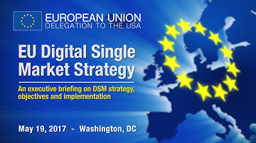 EU Digital Single Market Strategy Executive Briefing
