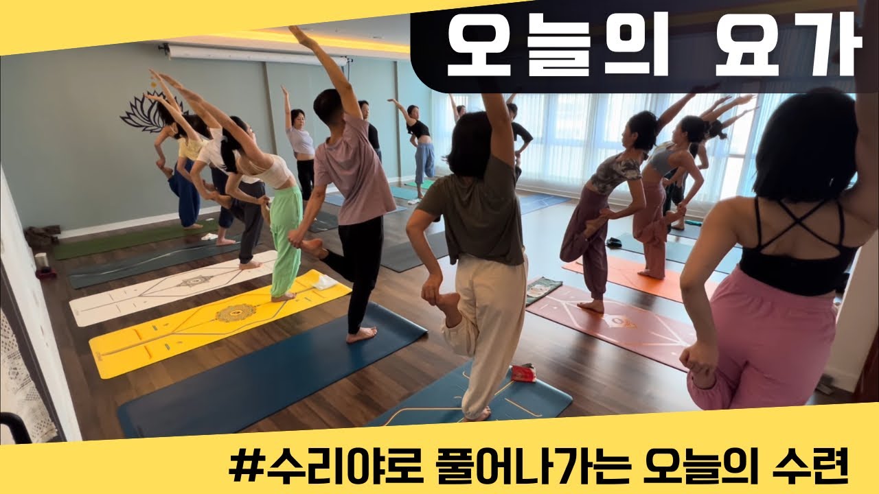 [엔젤요가] 수리야로 풀어내는 오늘의 요가 🧘🏼‍♂️