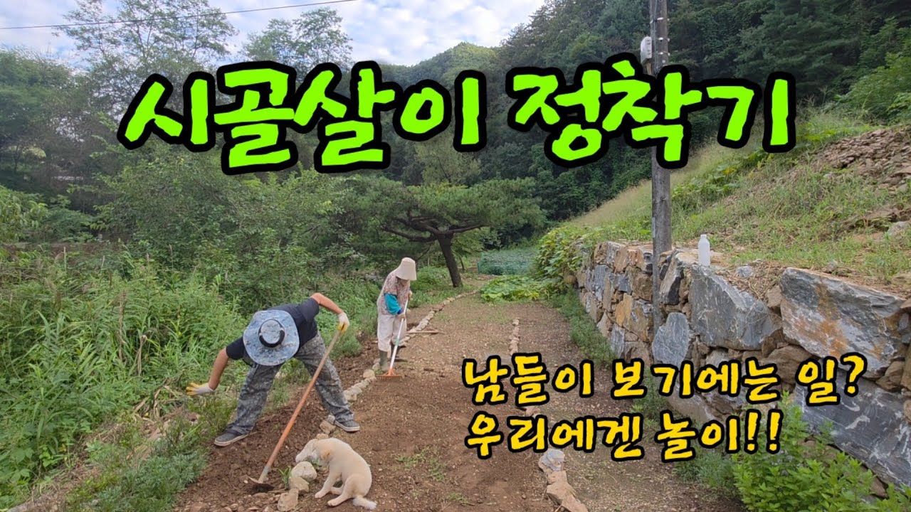 벌집잡기 ㅣ산나물밭 제초작업 ㅣ황토방관리 ㅣ마른옥수수따기 ㅣ들깨비료주기 ㅣ화단만들기 ㅣ장미넝쿨 정리