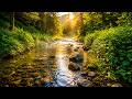 🎶 Healing River Sounds & Relaxing Music for Meditation, Sleep and Relaxation