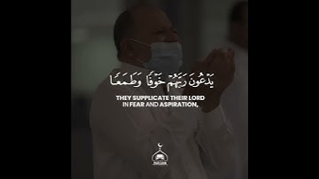 تتجافى جنوبهم عن المضاجع شريف_مصطفى سورة_السجده Sherif Mostafa  Surat As-Sajdah