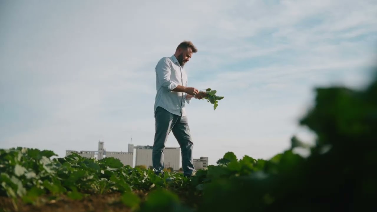 В межах Програми USAID AГРО допомагаємо аграріям Херсонщини відновлюватись і розвиватись.