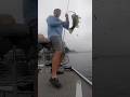 Jumping #shorts #fishing #fun #bassfishing #fish #bass #fishinggear #lake #1k