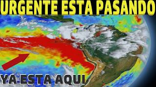 NOAA CONFIRMA LA LLEGADA DEL NIÑO EXTREMO ¿QUE SE ESPERA AHORA?
