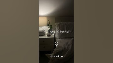 تلاوة تريح القلوب😴🎧 من الشيخ محمد أيوب🤍✨️ #قرآن #محمد_ايوب #اذكرو_الله #صلوا_على_النبي #راحة_نفسية
