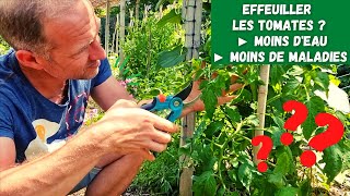 Bien s'occuper de ses plants de tomates ► Effeuiller ? Arroser ? Tailler ?