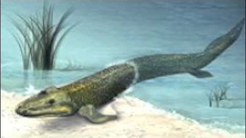 Why Evolution is True -- trailer