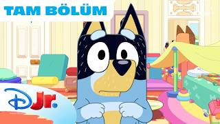 Odacık | Bluey | @DisneyPlusTR
