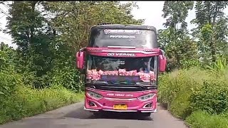 basuri bus pariwisata pink tunas jaya 