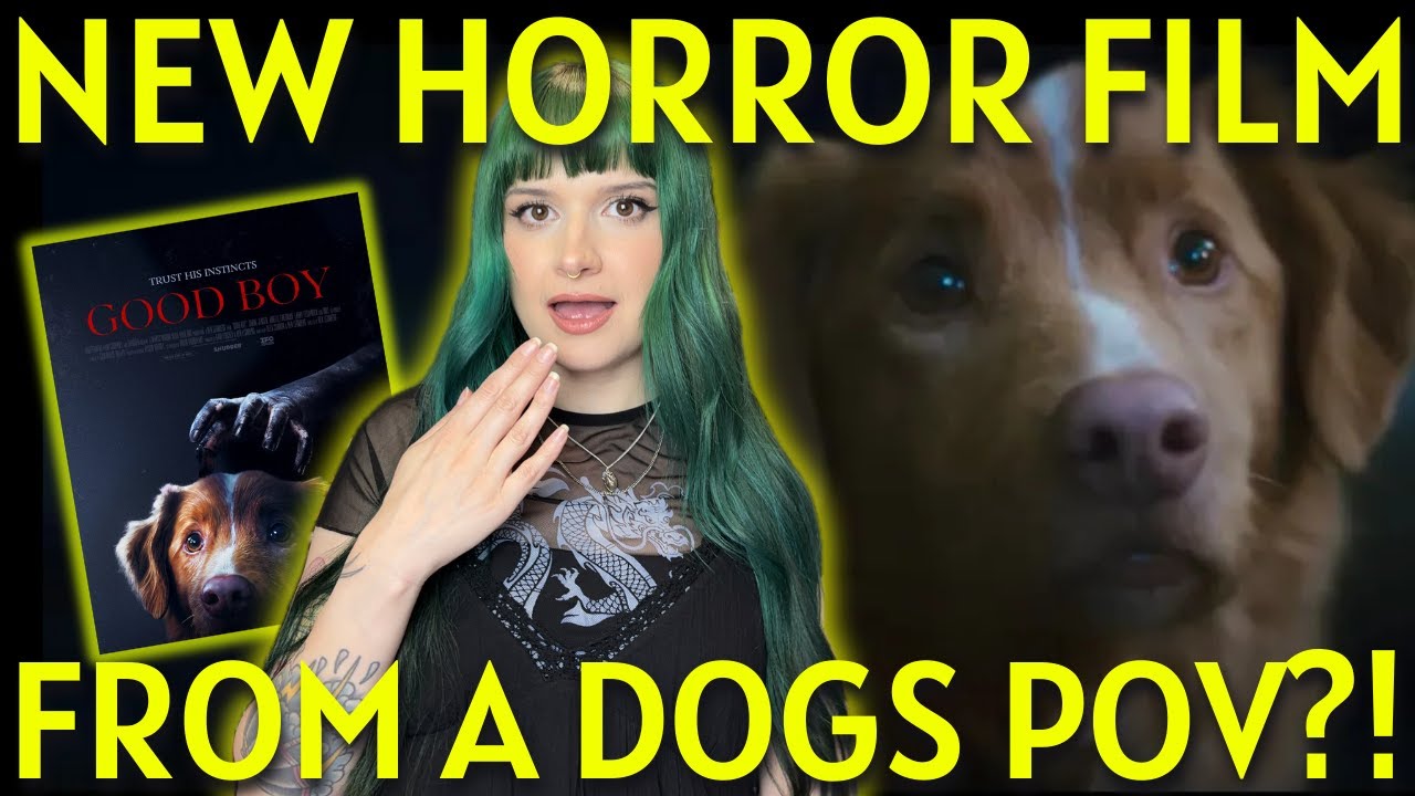 Обзор фильма ужасов «Собачья точка зрения?!» на фильм «Хороший мальчик» (2025)