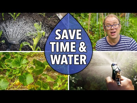 Mulching to Save Time and Water in Your Garden