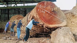 ไม้ Trembesi ที่ถูกลมพัดมาจากดินแดนโทบะ!! เลื่อยเป็นกระดานทึบ I Sawmill