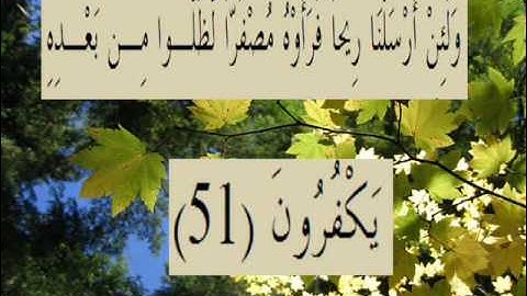 القران الكريم سورة الروم الأية 51.wmv
