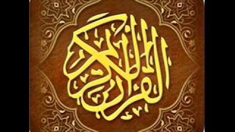 القارئ الشيخ هاني الرفاعي     سورة الحشر