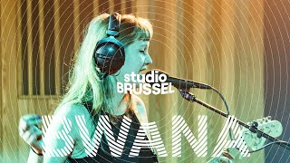 BWANA — Post Break-Up Sex (The Vaccines cover) | Studio Brussel LIVE LIVE
