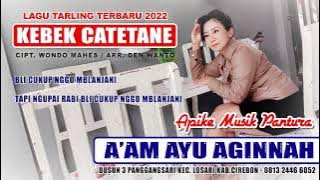 lagu tarling terbaru 2022 KEBEK CATETANE // A'AM AYU AGINNAH //cipt.wondo mahes//arr.den Wanto