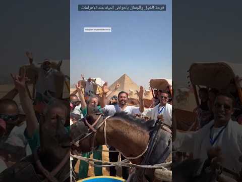 فرحة الخيل والجمال باحواض المياه عند الاهرامات ٦٠شو مع الدكتور حاتم ستين
