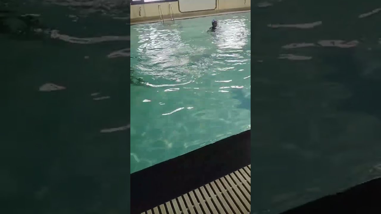 360SWIM🏊‍♂️ is live