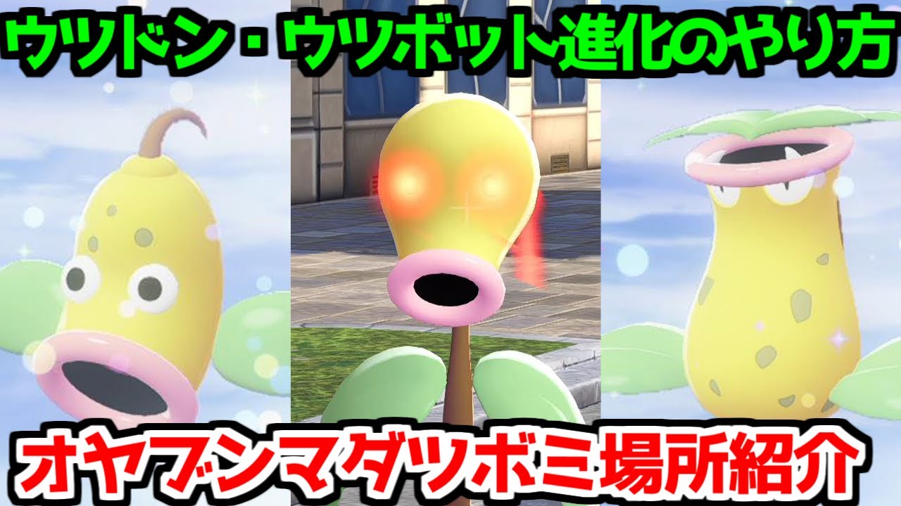 ポケモンZA】リーフのいし オヤブン マダツボミ ウツドン ウツボット