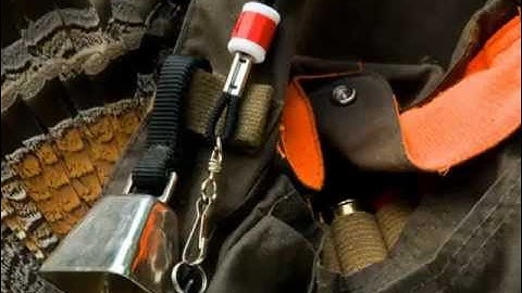 Why we hunt Grouse