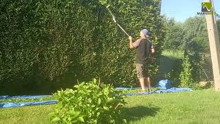 Żywopłot, Przyjemne Przycinanie