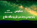 شيله الجوف اليمن 