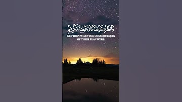 سورة النمل الآية 50 و 51 بصوت القارئ محمد الفقيه