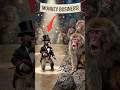 Punch Forgot He's a Monkey: Waddling on Two Legs! #punch #punchmonkey #monkey #shorts