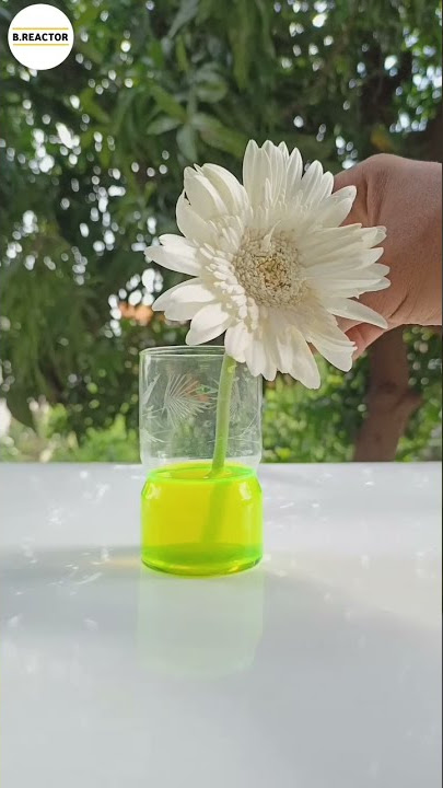 Glowing Flower 😱🌺🤯 #shorts #experiment