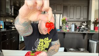 Let’s Eat This Extremely Hot Pepper