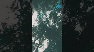 #song sakal se Sharif tota baccha lagelu tu hasal kara Jaan Badi achcha lagelu