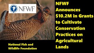 Nfwf Announces 10.2 Million In Grants To Cultivate Conservation Practices On Agricultural Lands