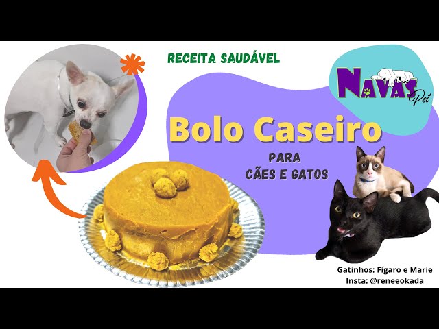 Como fazer um bolo saudável e delicioso para cães e gatos?