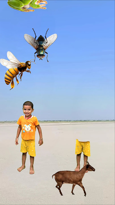 Download lagu Tu Radha meri mia shyam Tera 💕🌺💞moye moye matching body vfx boy new magic #radha #krishna #newsong