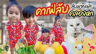 คาเฟ่ลับ! แถวคลองหก A cup of zoo cafe คาเฟ่สำหรับคนรักสัตว์ | เพิร์ลไพร์ม