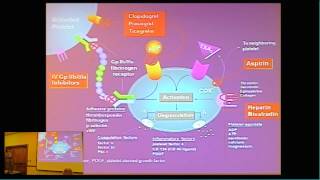 Aging Summit Talk 7: Vascular Aging (2014)