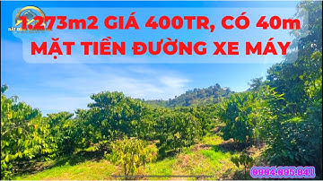 🔴(110) 400 Triệu Cho Lô Đất 1.273m2 Có 40m Mặt Tiền, Vườn Đang Trồng Cafe | Bất Động Sản Bảo Lộc