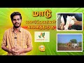 Welcome to Adheshwar Agro – The Ultimate Channel for Dairy & Cattle Farming Tips