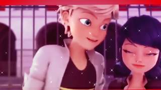 personal | miraculous ladybug